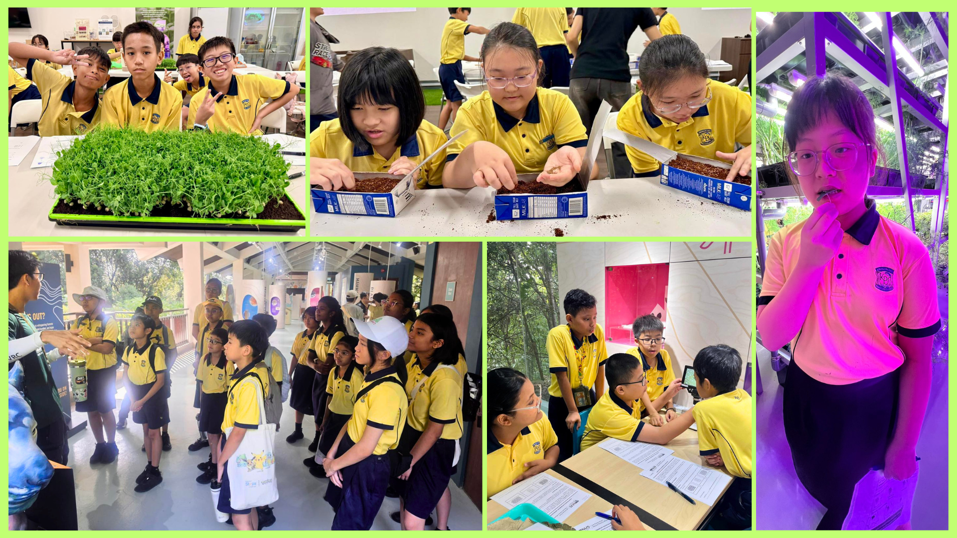 P6 students 2026 exploring nature in greenloop farms